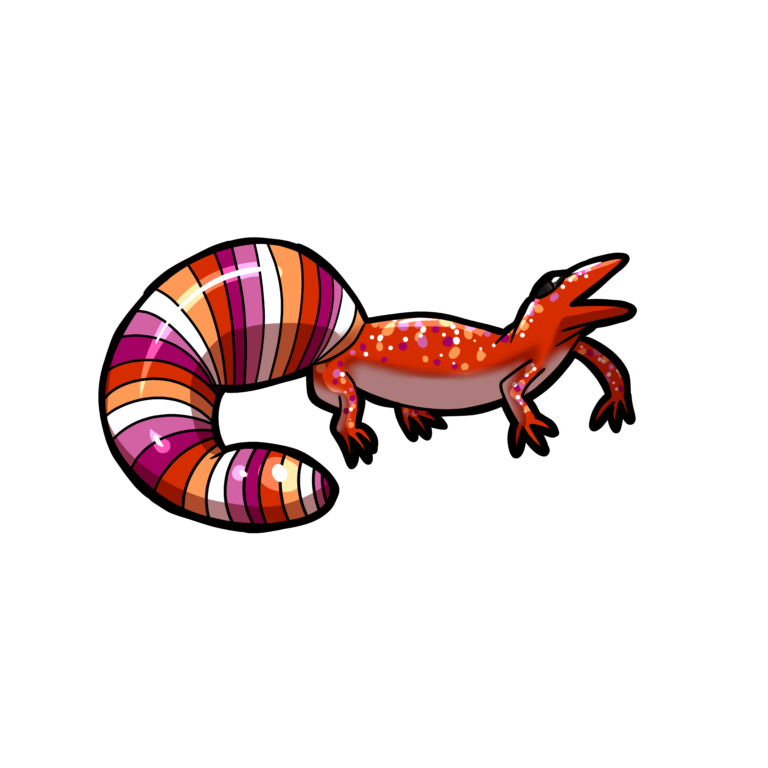 Lesbian Gecko